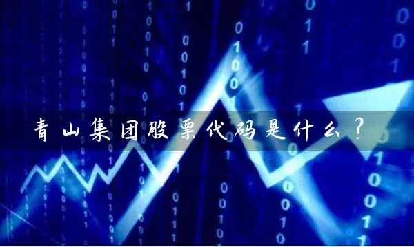 青山集团股票代码是什么？ (https://www.cnq.net/) 股票基础教程 第1张