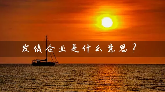 发债企业是什么意思？ (https://www.cnq.net/) 股票基础教程 第1张