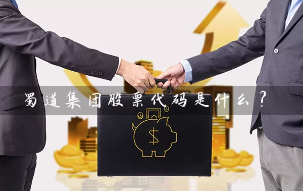 蜀道集团股票代码是什么？ (https://www.cnq.net/) 股票基础教程 第1张