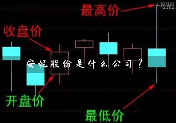 安妮股份是什么公司？ (https://www.cnq.net/) 股票基础教程 第1张