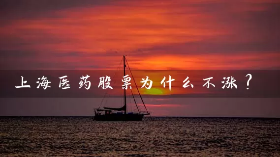上海医药股票为什么不涨? 股票基础教程 第1张-学习理财网 上海医药股票为什么不涨? (https://www.cnq.net/) 股票基础教程 第1张