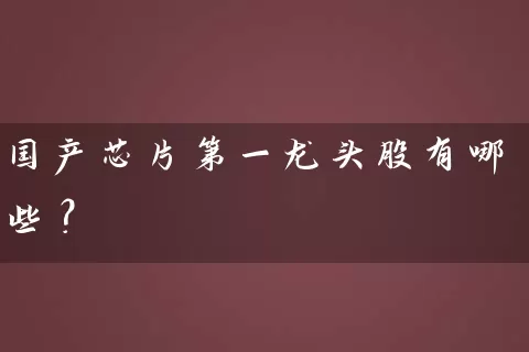 国产芯片第一龙头股有哪些? 股票基础教程 第1张-学习理财网 国产芯片第一龙头股有哪些? (https://www.cnq.net/) 股票基础教程 第1张