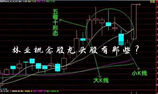 林业概念股龙头股有那些？ (https://www.cnq.net/) 股票基础教程 第1张