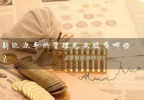 新能源车热管理龙头股有哪些？ (https://www.cnq.net/) 股票基础教程 第1张
