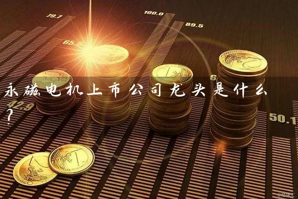 永磁电机上市公司龙头是什么? 股票基础教程 第1张-学习理财网 永磁电机上市公司龙头是什么? (https://www.cnq.net/) 股票基础教程 第1张