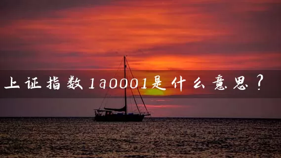 上证指数1a0001是什么意思？ (https://www.cnq.net/) 股票基础教程 第1张