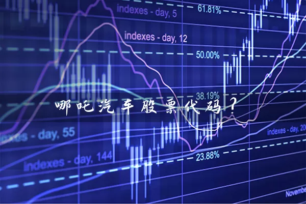 哪吒汽车股票代码? (https://www.cnq.net/) 股票基础教程 第1张