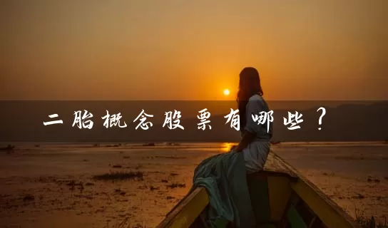 二胎概念股票有哪些? 股票基础教程 第1张-学习理财网 二胎概念股票有哪些? (https://www.cnq.net/) 股票基础教程 第1张