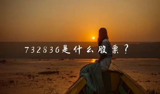 732836是什么股票? 股票基础教程 第1张-学习理财网 732836是什么股票? (https://www.cnq.net/) 股票基础教程 第1张