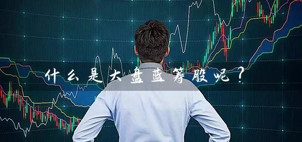 什么是大盘蓝筹股呢？ (https://www.cnq.net/) 股票基础教程 第1张