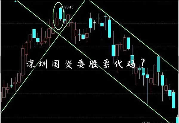 深圳国资委股票代码? (https://www.cnq.net/) 股票基础教程 第1张