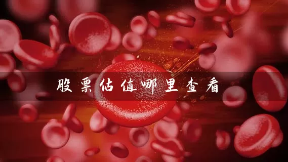 股票估值哪里查看 (https://www.cnq.net/) 股票基础教程 第1张