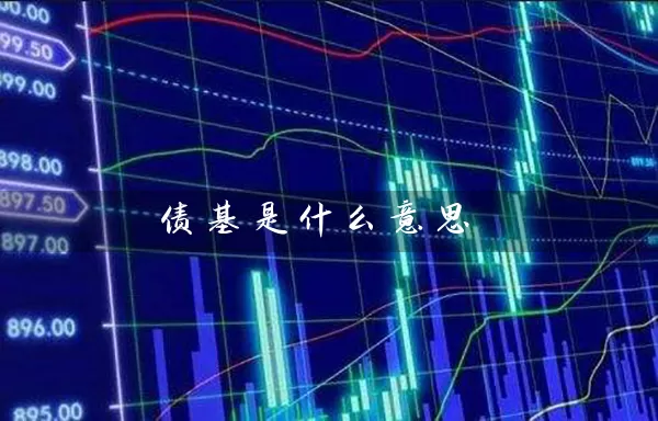债基是什么意思 (https://www.cnq.net/) 股票基础教程 第1张