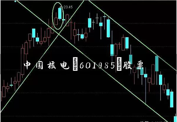 中国核电(601985)股票 (https://www.cnq.net/) 股票基础教程 第1张
