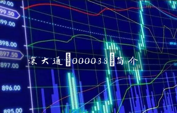深大通(000038)简介 股票基础教程 第1张-学习理财网 深大通(000038)简介 (https://www.cnq.net/) 股票基础教程 第1张