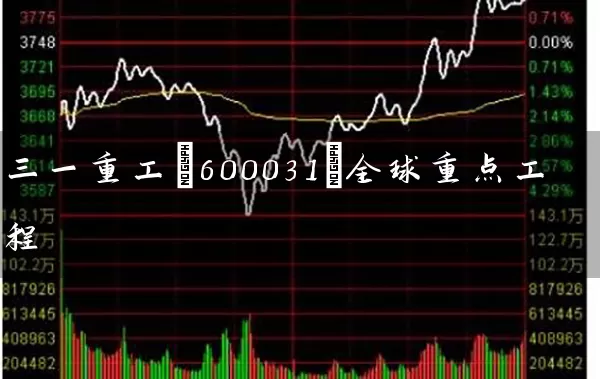 三一重工(600031)全球重点工程 (https://www.cnq.net/) 股票基础教程 第1张