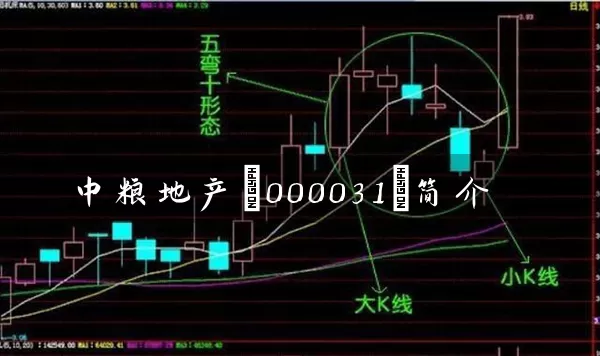 中粮地产(000031)简介 (https://www.cnq.net/) 股票基础教程 第1张