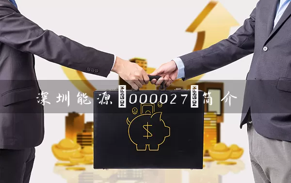深圳能源(000027)简介 (https://www.cnq.net/) 股票基础教程 第1张