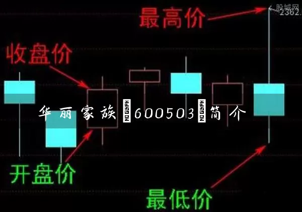 华丽家族(600503)简介 (https://www.cnq.net/) 股票基础教程 第1张