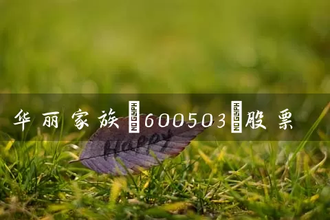 华丽家族(600503)股票 (https://www.cnq.net/) 股票基础教程 第1张