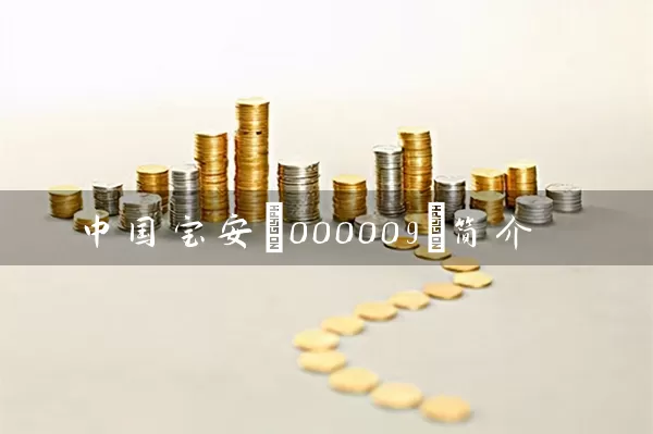 中国宝安(000009)简介 (https://www.cnq.net/) 股票基础教程 第1张