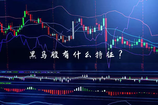 黑马股有什么特征？ (https://www.cnq.net/) 股票基础教程 第1张
