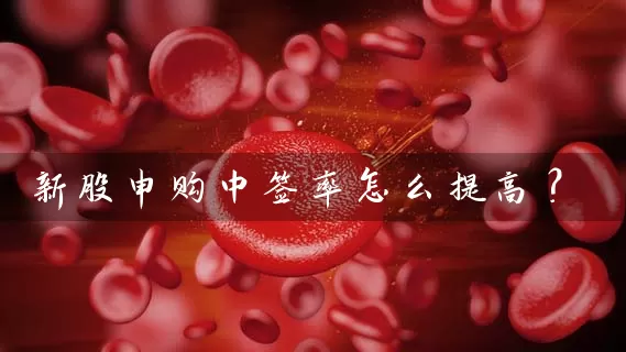 新股申购中签率怎么提高？ (https://www.cnq.net/) 股票基础教程 第1张