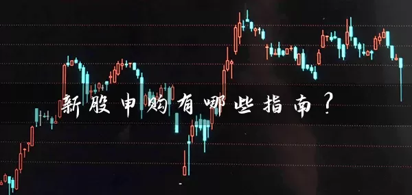 新股申购有哪些指南？ (https://www.cnq.net/) 股票基础教程 第1张