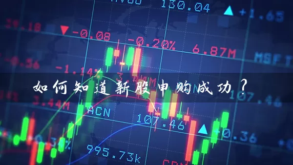 如何知道新股申购成功？ (https://www.cnq.net/) 股票基础教程 第1张