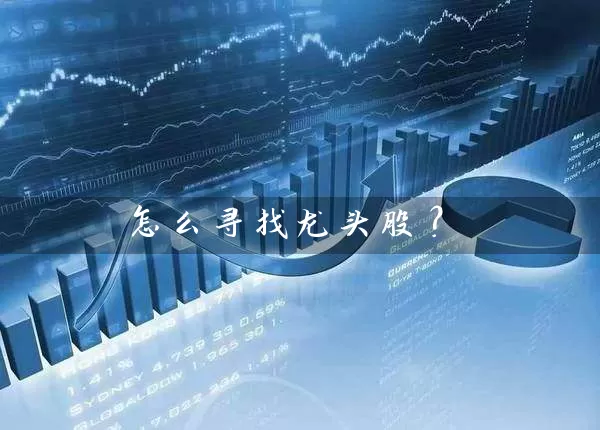 怎么寻找龙头股？ (https://www.cnq.net/) 股票基础教程 第1张