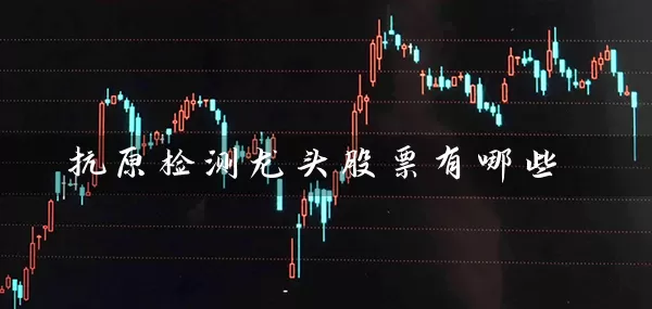 抗原检测龙头股票有哪些 股票基础教程 第2张-学习理财网 抗原检测龙头股票有哪些 (https://www.cnq.net/) 股票基础教程 第2张