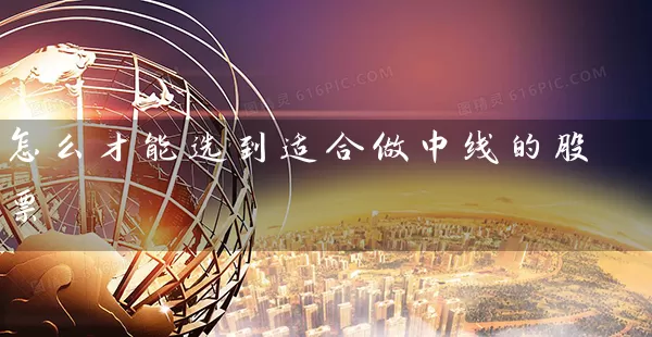 怎么才能选到适合做中线的股票 (https://www.cnq.net/) 股票基础教程 第2张