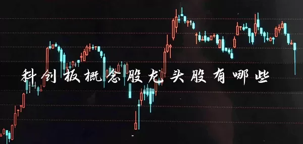 科创板概念股龙头股有哪些 股票基础教程 第1张-学习理财网 科创板概念股龙头股有哪些 (https://www.cnq.net/) 股票基础教程 第1张