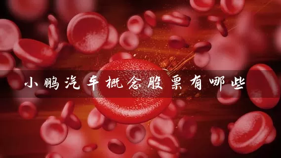 小鹏汽车概念股票有哪些 (https://www.cnq.net/) 股票基础教程 第1张