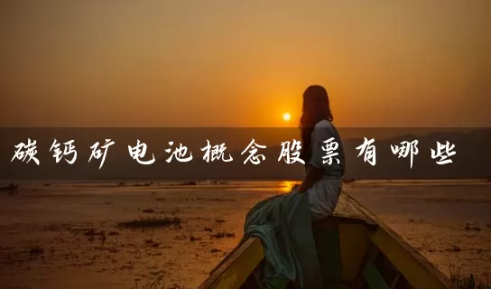碳钙矿电池概念股票有哪些 (https://www.cnq.net/) 股票基础教程 第1张