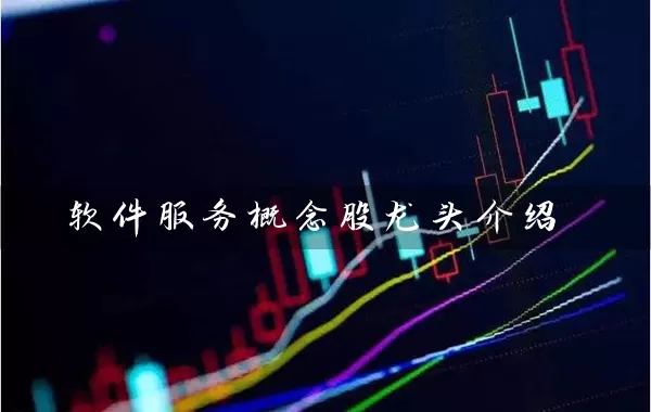 软件服务概念股龙头介绍 (https://www.cnq.net/) 股票基础教程 第1张