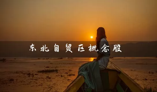 东北自贸区概念股 股票基础教程 第1张-学习理财网 东北自贸区概念股 (https://www.cnq.net/) 股票基础教程 第1张