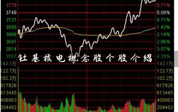钍基核电概念股个股介绍 股票基础教程 第1张-学习理财网 钍基核电概念股个股介绍 (https://www.cnq.net/) 股票基础教程 第1张