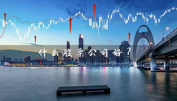 什么股票公司好？ (https://www.cnq.net/) 股票基础教程 第1张
