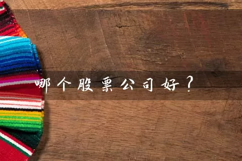 哪个股票公司好？ (https://www.cnq.net/) 股票基础教程 第1张