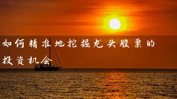 如何精准地挖掘龙头股票的投资机会 股票基础教程 第1张-学习理财网 如何精准地挖掘龙头股票的投资机会 (https://www.cnq.net/) 股票基础教程 第1张