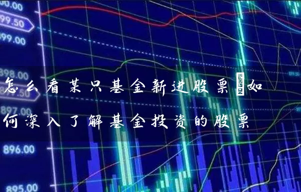 怎么看某只基金新进股票_如何深入了解基金投资的股票 (https://www.cnq.net/) 股票基础教程 第1张