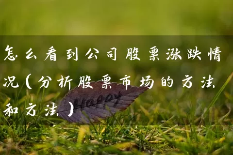 怎么看到公司股票涨跌情况（分析股票市场的方法和方法） (https://www.cnq.net/) 股票基础教程 第1张