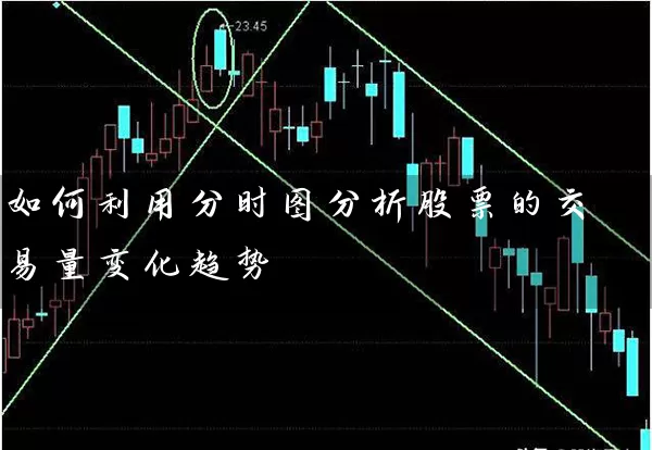 如何利用分时图分析股票的交易量变化趋势 (https://www.cnq.net/) 股票基础教程 第1张