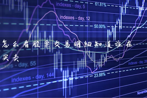 怎么看股票交易明细知道谁在买卖 (https://www.cnq.net/) 股票基础教程 第1张