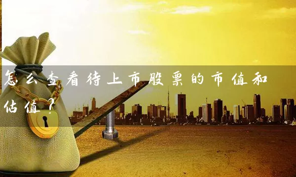 怎么查看待上市股票的市值和估值？ (https://www.cnq.net/) 股票基础教程 第1张