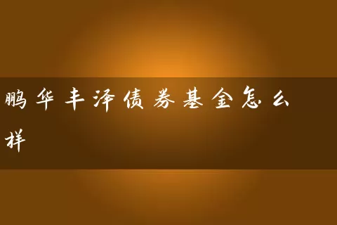 鹏华丰泽债券基金怎么样 (https://www.cnq.net/) 基金基础教程 第1张