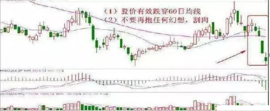 什么是股票止损？如何股票止损 (https://www.cnq.net/) 股票基础教程 第1张