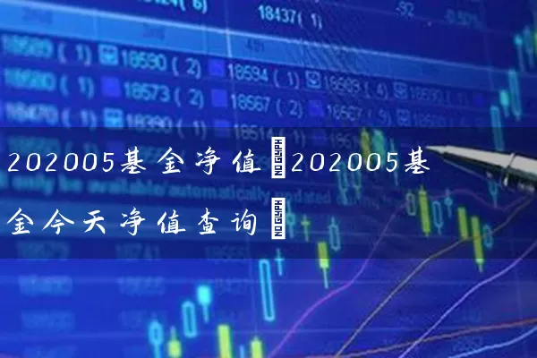 202005基金净值(202005基金今天净值查询) (https://www.cnq.net/) 基金基础教程 第1张