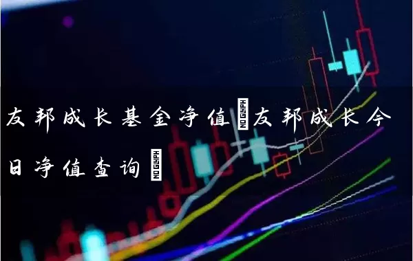 友邦成长基金净值(友邦成长今日净值查询) (https://www.cnq.net/) 基金基础教程 第1张